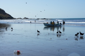 Fishermen hauling in their catch from the evening